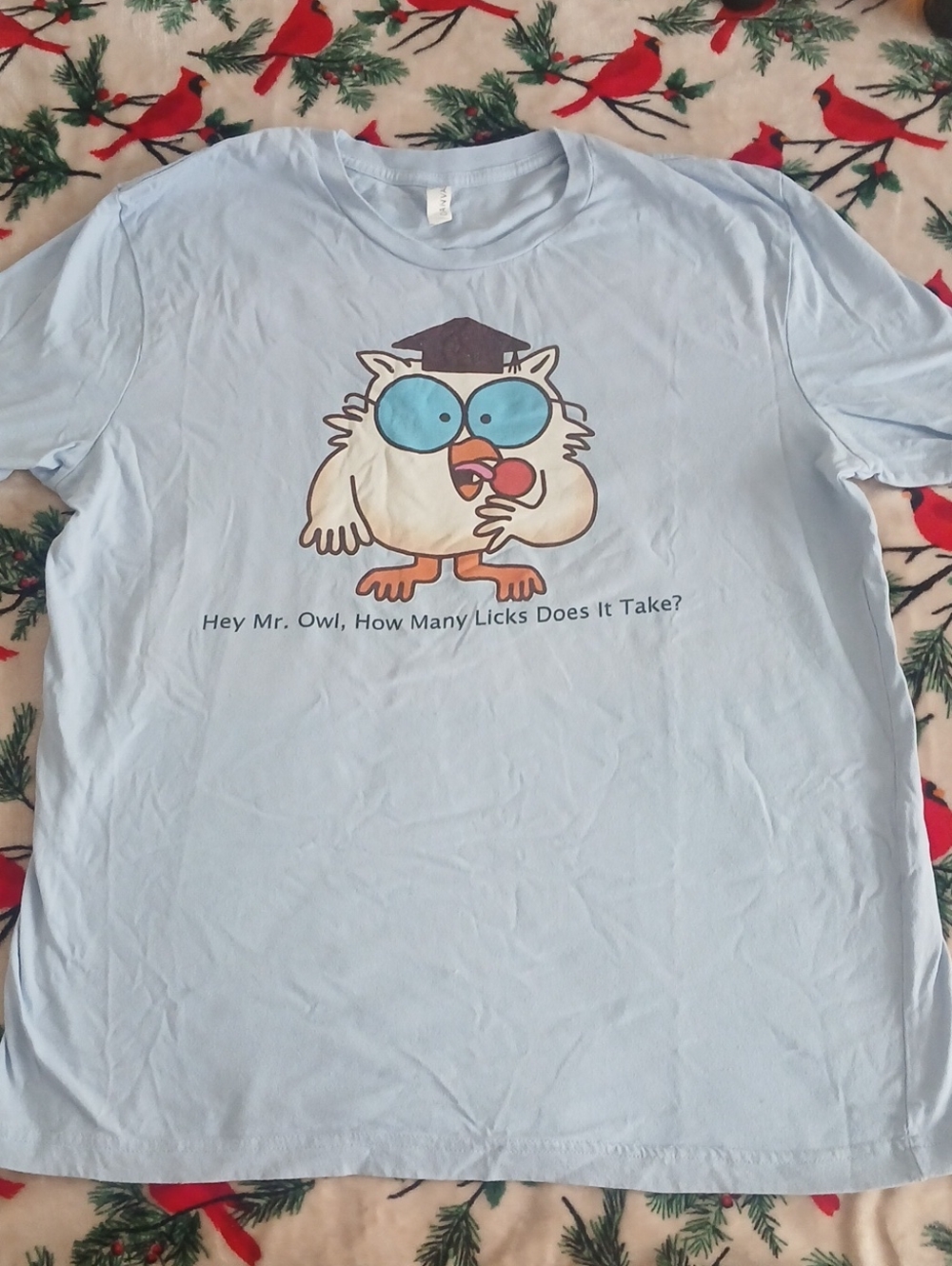 Bella Canvas Light Blue Womens Owl Graphic Tee